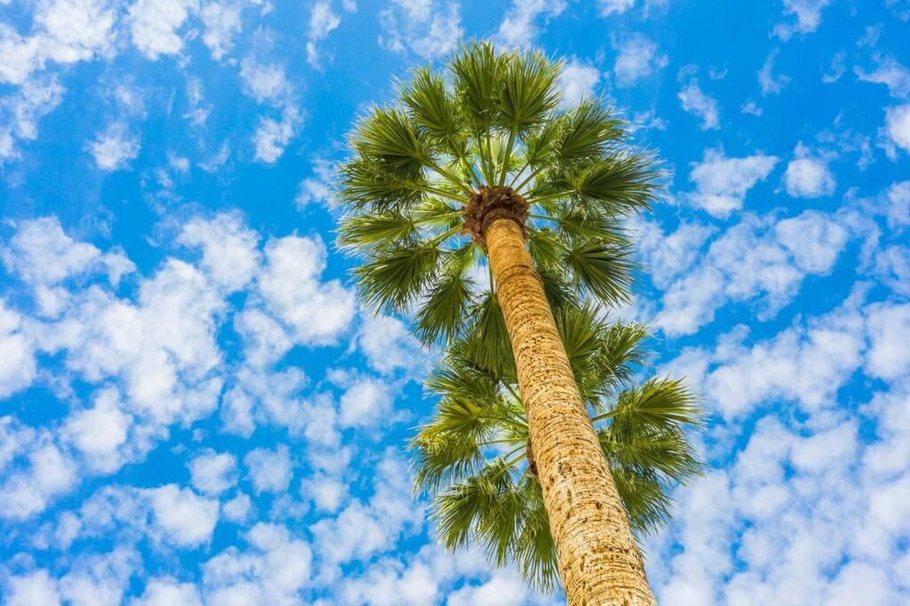 Large Studio Rooftop & Poolside - Walk To Old Town Scottsdale Exteriör bild